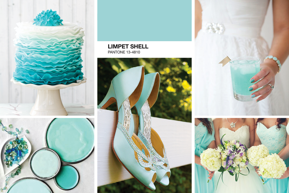 limpet Shell Mood Board